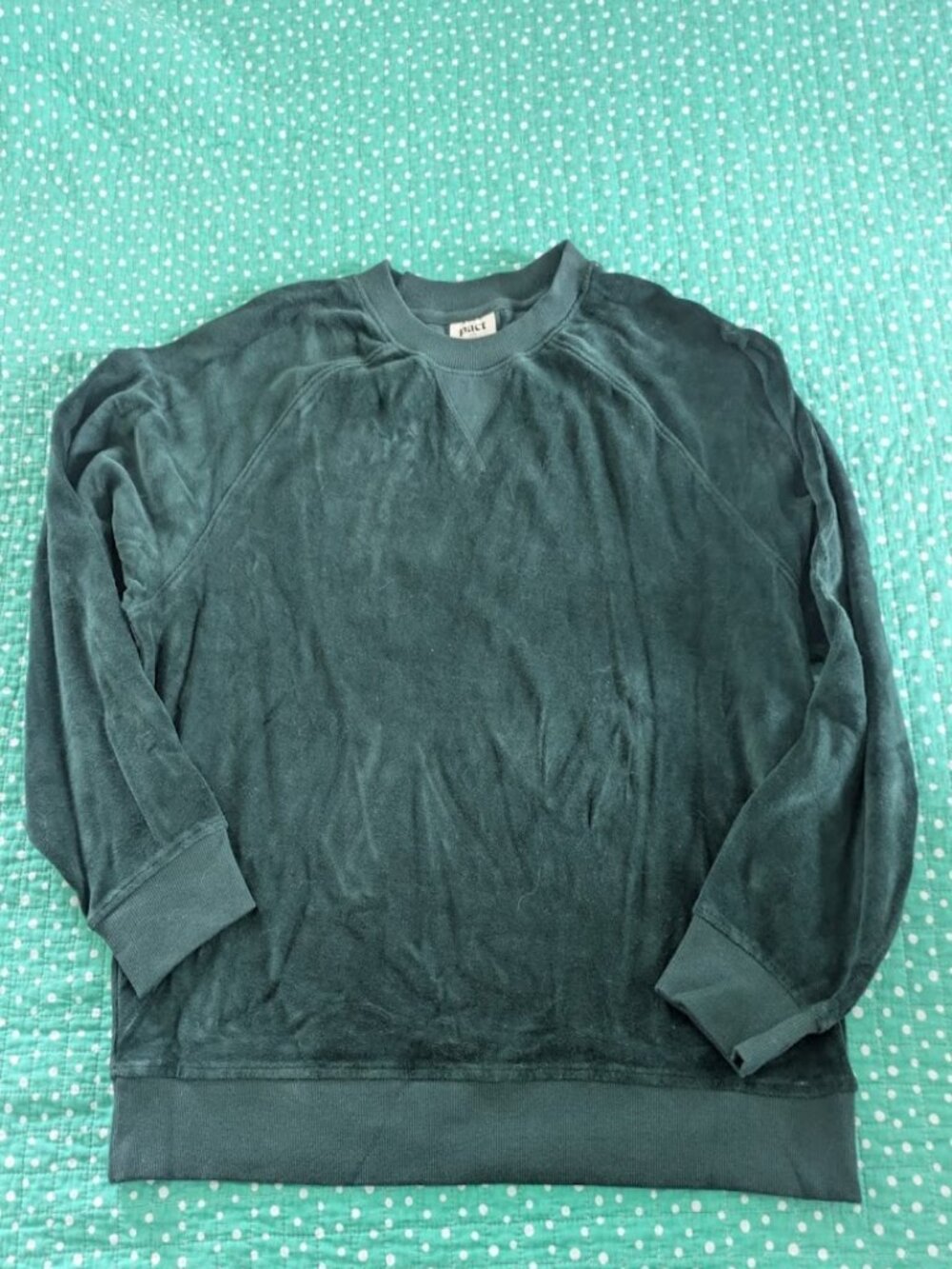 NEW PACT Women's Sz L Sweatshirt Green Spruce Velour Organic Cotton Pullover NWT
